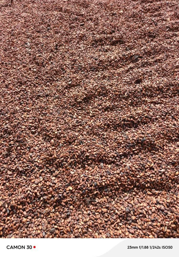 slider image slider_item_MyGDWC