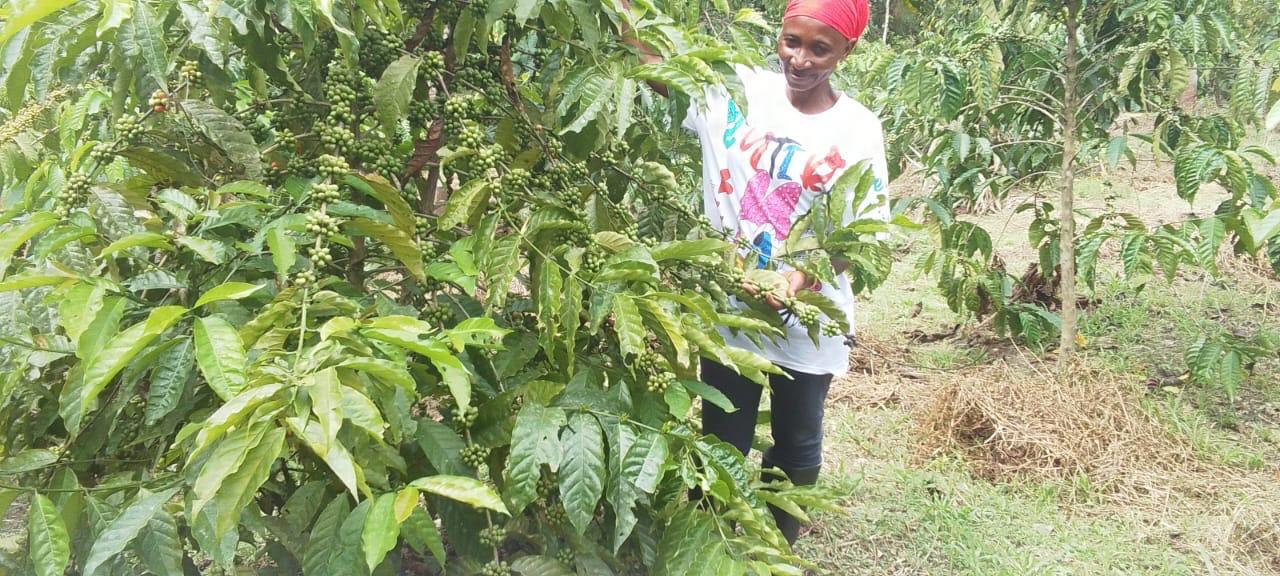 Women Farmer Impact Fund