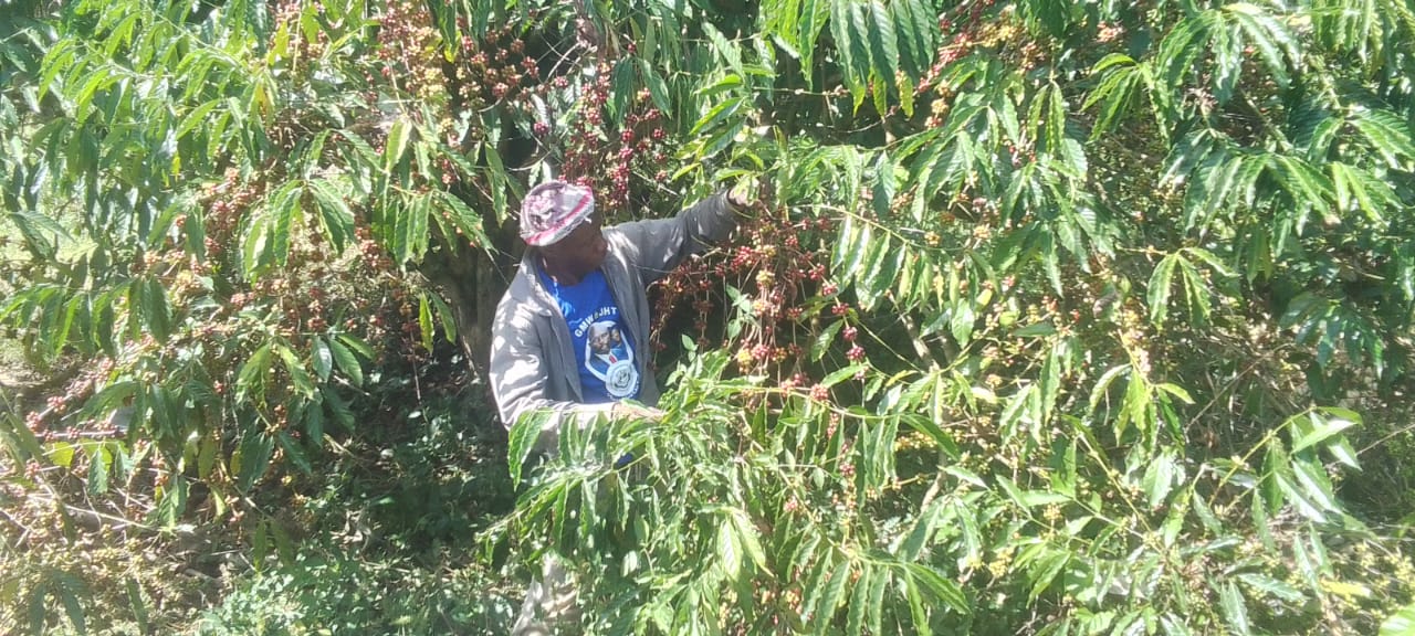 Women Farmer Impact Fund