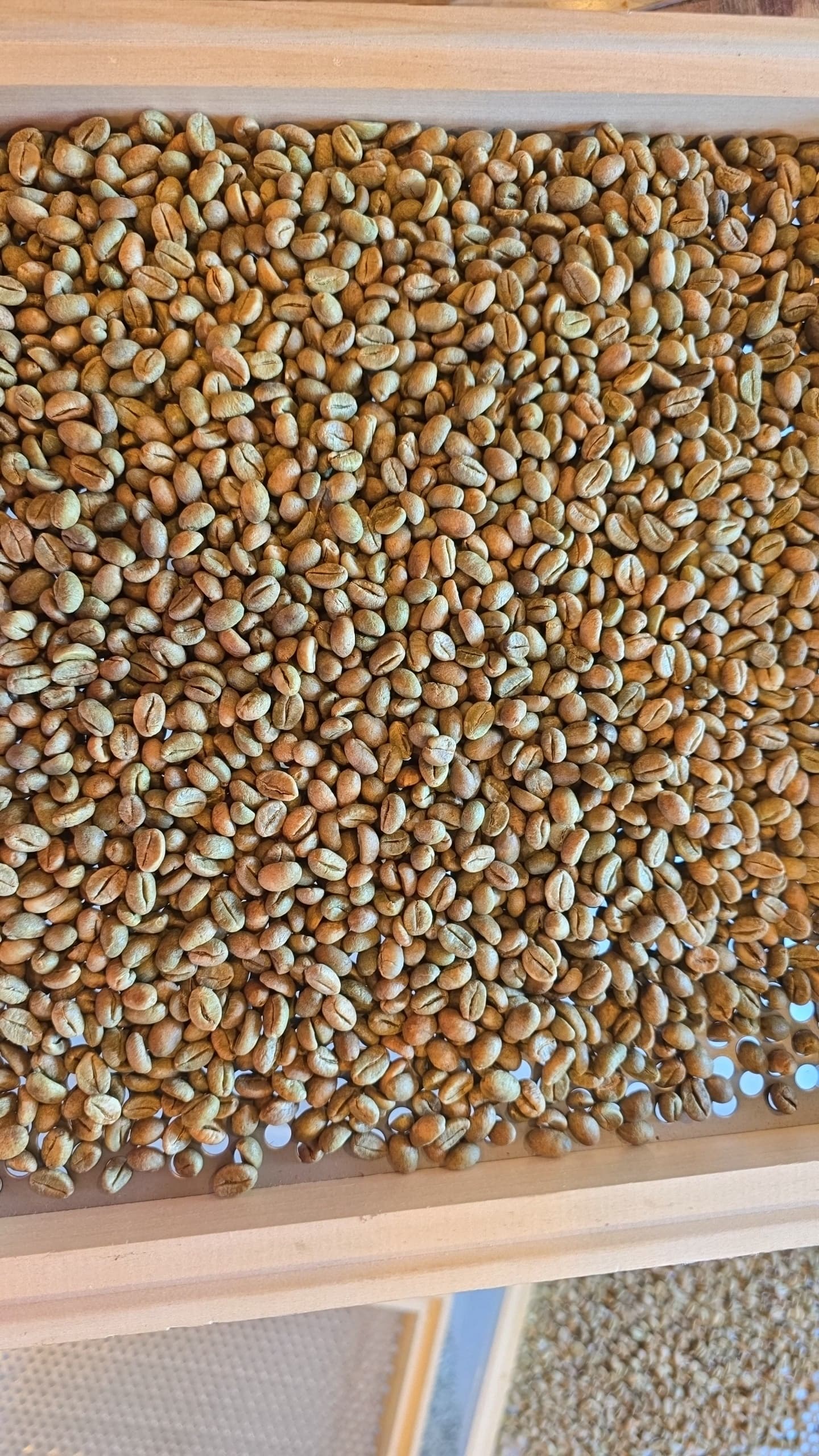 Women Farmer Impact Fund